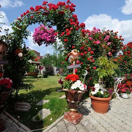 Pensiunea Sofia Тимишоара Екстериор снимка