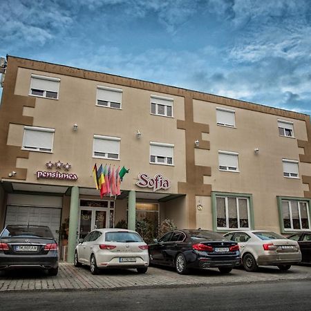 Pensiunea Sofia Тимишоара Екстериор снимка